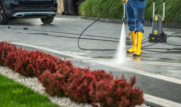 Best Driveway Pressure Washing  in Hanamaulu, HI